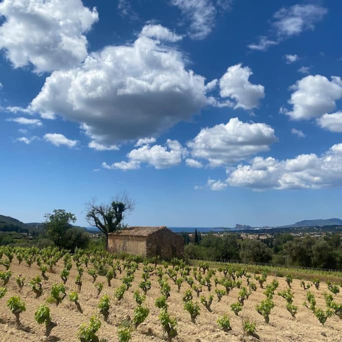 Villa La Louette, 100M Centre-Village, Piscine H-Sol, Proche Mer サン・シル・シュル・メール エクステリア 写真
